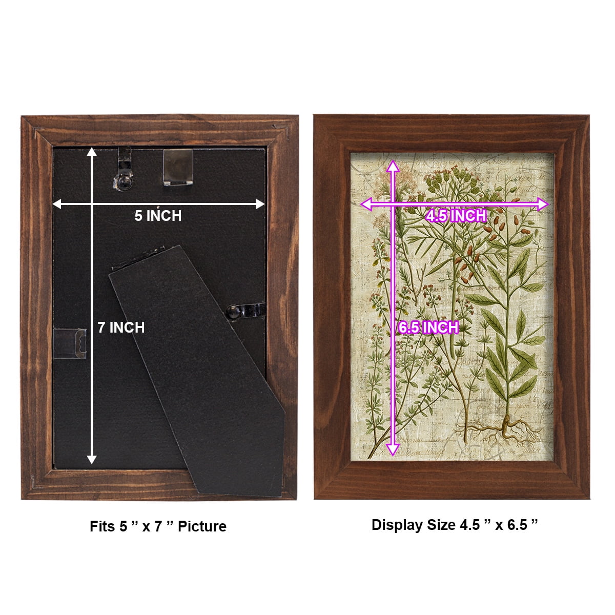 Garden Verses I -Framed Print w/glass-Chestnut
