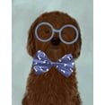 thumbnail image 2 of Fab Funky 12x14 Gold Ornate Wood Framed with Double Matting Museum Art Print Titled - Cockerpoo, Chocolate, with Glasses and Bow Tie, 2 of 4