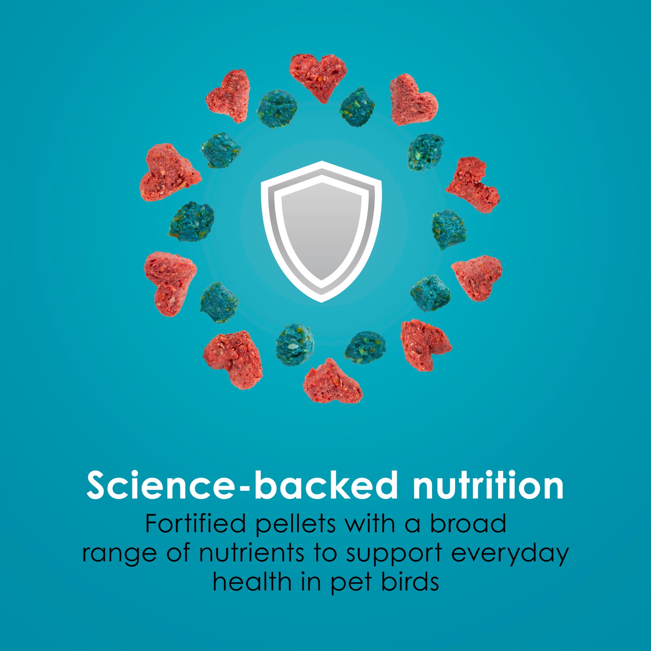 Kaytee Forti-Diet Pro Health Nourish+Protect Parakeet Food 25 Pounds