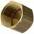 thumbnail image 2 of Delta 1/2" Female IPS Brass Cap, 2 of 2