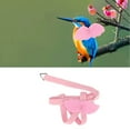 thumbnail image 4 of Arnés de Loro Mascota Correa, Alas de Ángel Lindas Resistentes Al Arneses de Pájaros Cómodos Con Correa de la Piel del Arnés Volador del Arnés delero para el Ifrenamiento, 4 of 7