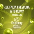 thumbnail image 2 of Perlas de Perfume Downy Paradise Aroma Tropical, 345g con 6X Más Fragancia*, 2 of 5
