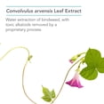 thumbnail image 4 of NutriCology Angioblock - Convolvulus arvensis Extract, Immune - 120 Capsules, 4 of 7