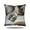 2, variant on 1Pc 18X18In Cute Sleeping Cats And Book Pillowcase Short Pile Living Room Sofa Pillowcase Soft Cushion Cover