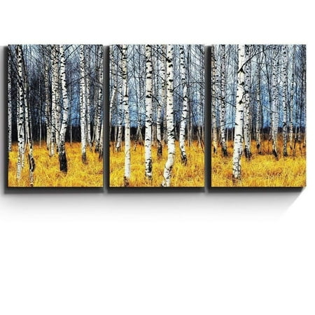 wall26 - Aspen Trees Fall Colors - Canvas Art Wall Decor - 24"x36"x3 Panels