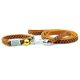 thumbnail image 1 of Collar para perros de diseño Dinheiro, pequeño, 1 of 5