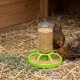 thumbnail image 6 of Automatic Spill-Proof Poultry Waterer and Feeder with Self-Refilling Design for Chicks Quail and Small Farm Birds, 6 of 6