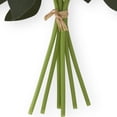 thumbnail image 5 of K&K Interiors 12" Real Touch Light Peach Peony Blooming Spring Flowers for Mother's Day - 6 Stem Bundles, 5 of 6