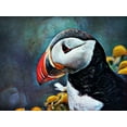 thumbnail image 2 of Aldridge, Ashley 18x15 White Modern Wood Framed Museum Art Print Titled - Atlantic Puffin Peculiar, 2 of 4