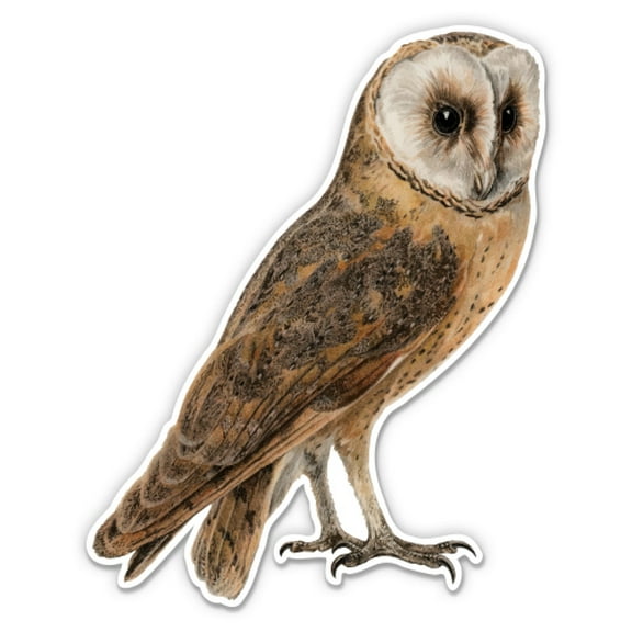 Barn Owl Vintage Illustration - 3" Vinyl Sticker - For Car Laptop Water Bottle Phone - Waterproof Decal