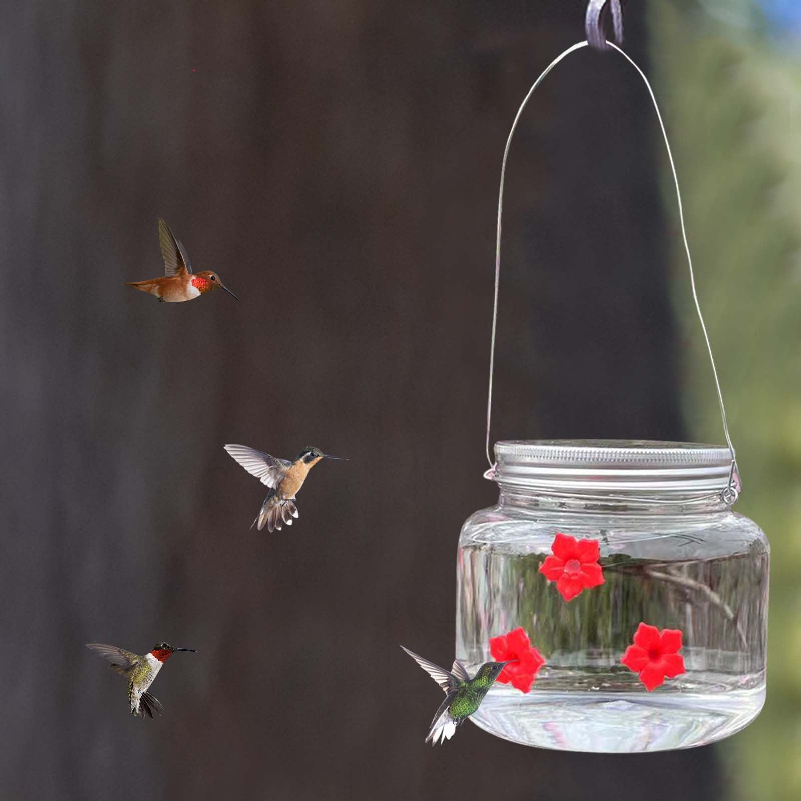 Hummingbird Feeders For Outdoors Hanging 2 Pack 500 ml Clear Reservoir Design Portable Garden Yard Patio Feeder