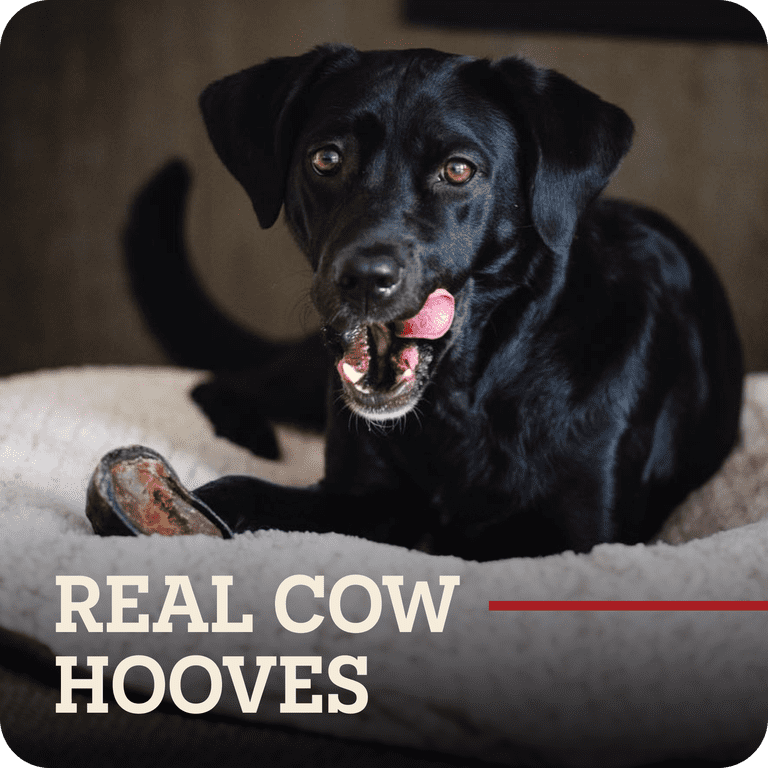 Redbarn Filled Cow Hooves with Peanut Butter, 2-Count photo 2