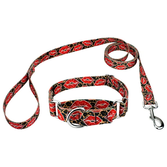 Country Brook Petz® Cheetah Kisses Martingale Dog Collar and Leash Limited Edition, Extra Large