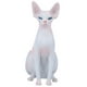 thumbnail image 2 of Modelo de gato sin pelo de simulación, modelo de gato sin pelo de simulación, modelo de gato sin pelo, modelo de gato decorativo, durabilidad probada en el tiempo, 2 of 14