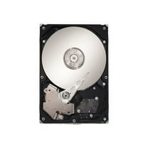 Seagate SV35.2 Series ST3250820AV - Hard drive - 250 GB - internal - 3.5" - ATA-100 - 7200 rpm - buffer: 8 MB