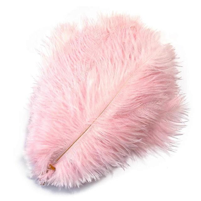 Lote de 10 plumas de avestruz naturales para manualidades, plumas blancas para jarrones, decoración de bodas, fiestas, accesorios de artesanía, plumas DIY.