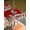 Red, variant on Outdoor Tablecloth with Umbrella Hole and Zipper, Grey Christmas Round Table Cloth 60 Inch Waterproof Tablecloth, Winter Gnomes Squirrel Xmas Pine Tree Snow Picnic Table Cover for Patio Camping