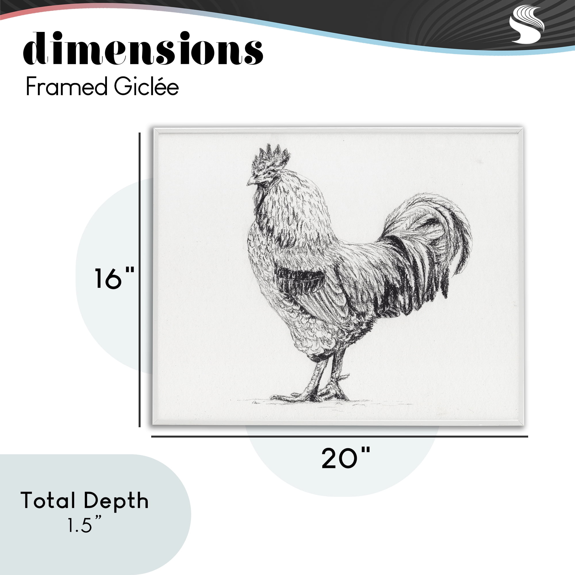 Stupell Industries Rooster in Charcoal White Framed Giclee Art, design by Leah Noel Art