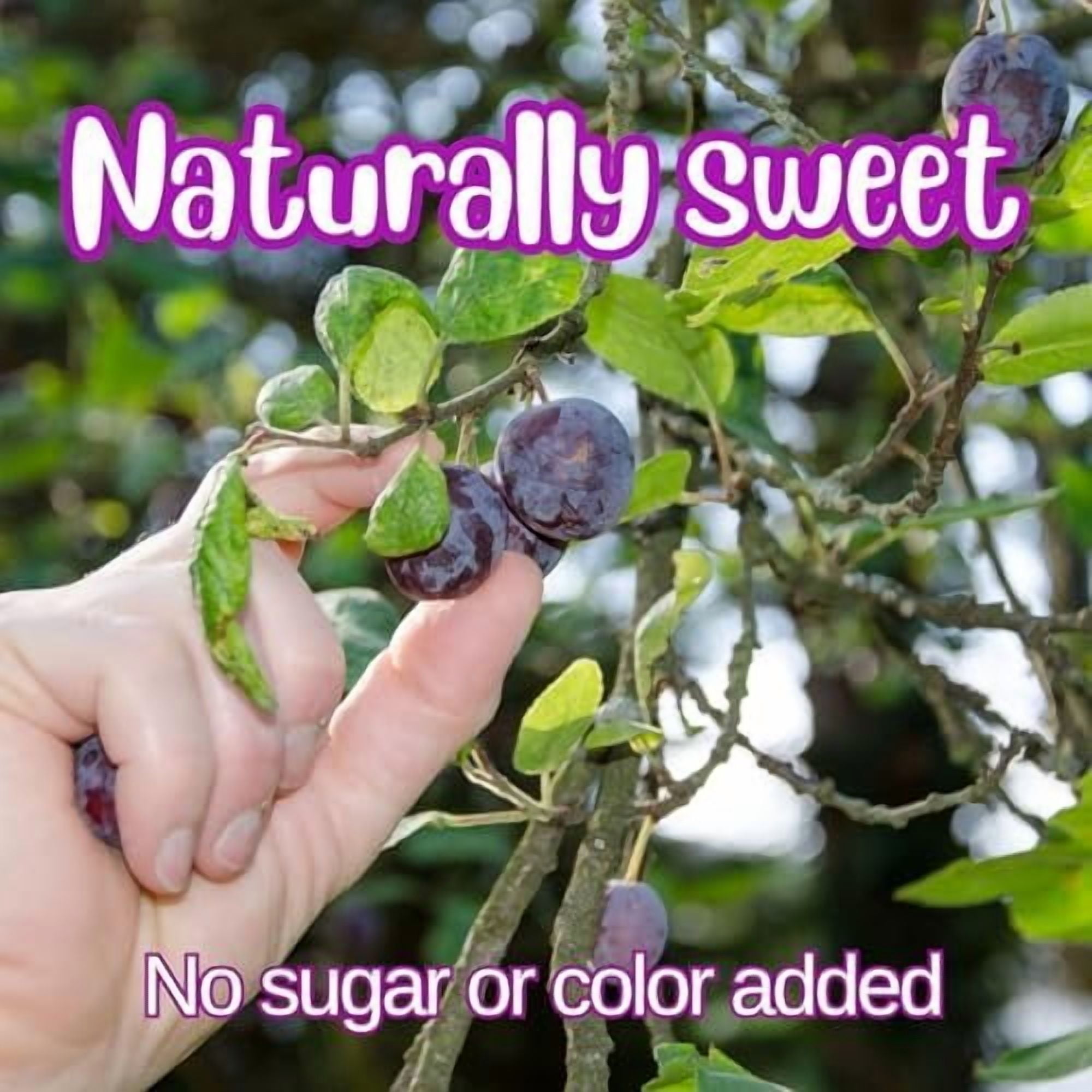 Dried Pitted Prunes Unsweetened by It's Delish, 5 Lbs Bulk Bag  Naturally Sweet, No Sugar Added, High Fiber Dried Fruit Snack  Healthy, Moist and Fresh Dry Plums  Vegan, Kosher