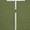 Green, variant on UE Wonderboom