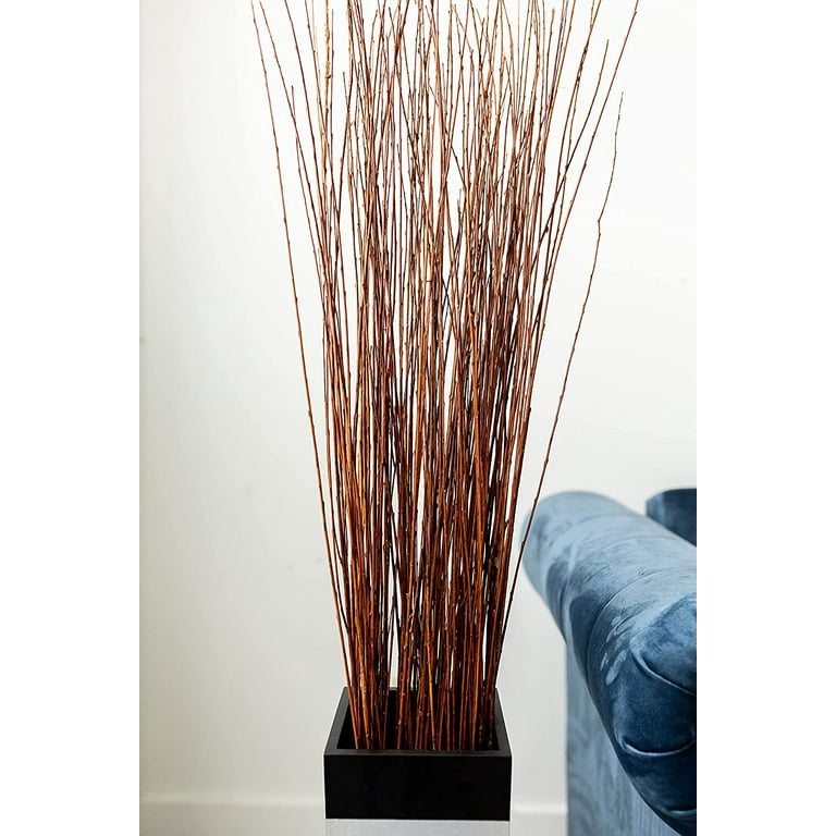 Green Floral Craft  60-70 Stem Dried Asian Willow Decorative Branches 3-4  Feet Tall Floor Vase Filler (Light Mahogany) 