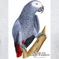 thumbnail image 3 of CafePress - African Gray Parrot Light T Shirt - Men's Classic Graphic T-Shirt, 3 of 4