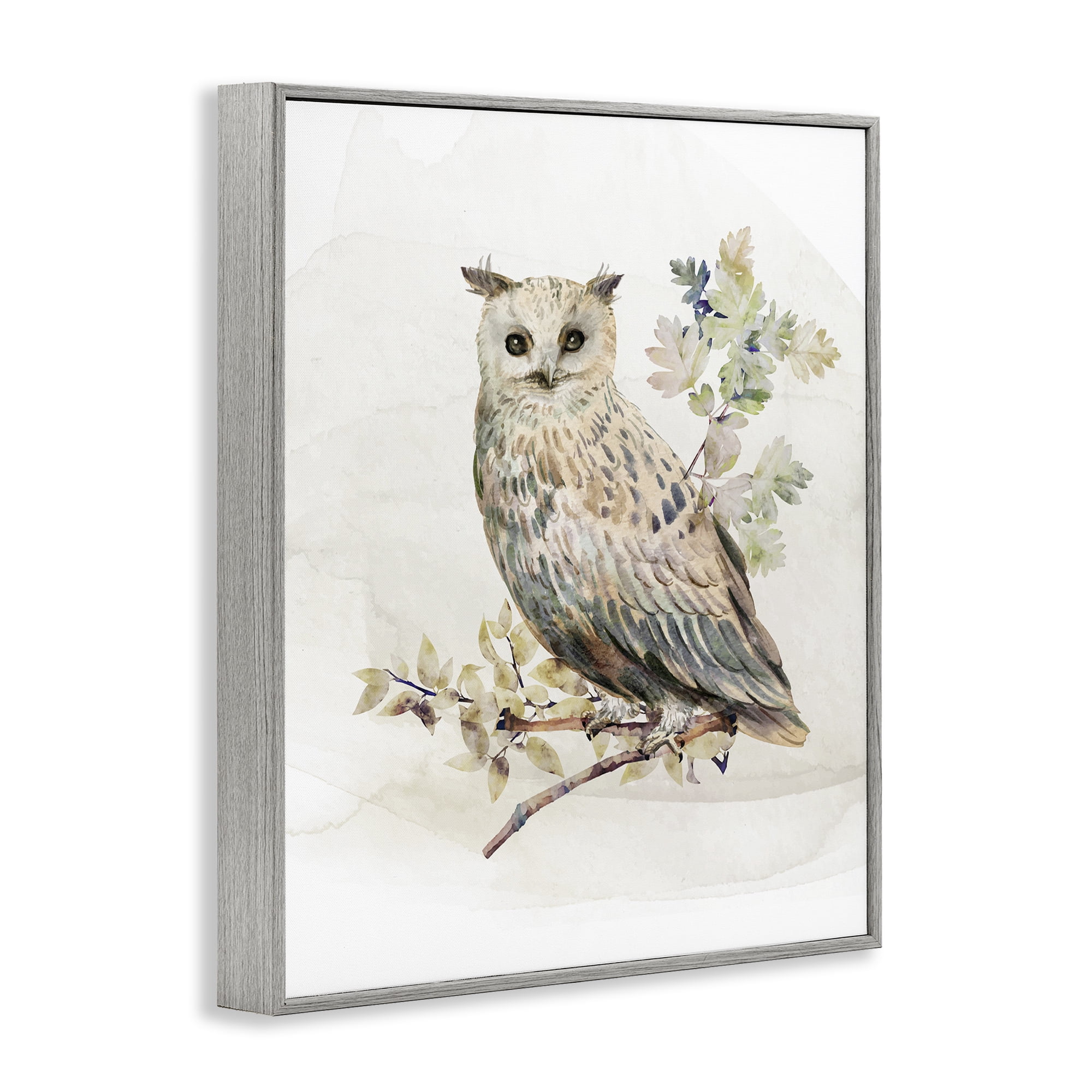 Stupell Industries Forest Owl with Foliage Gray Framed Giclee Art, design by CAD Designs