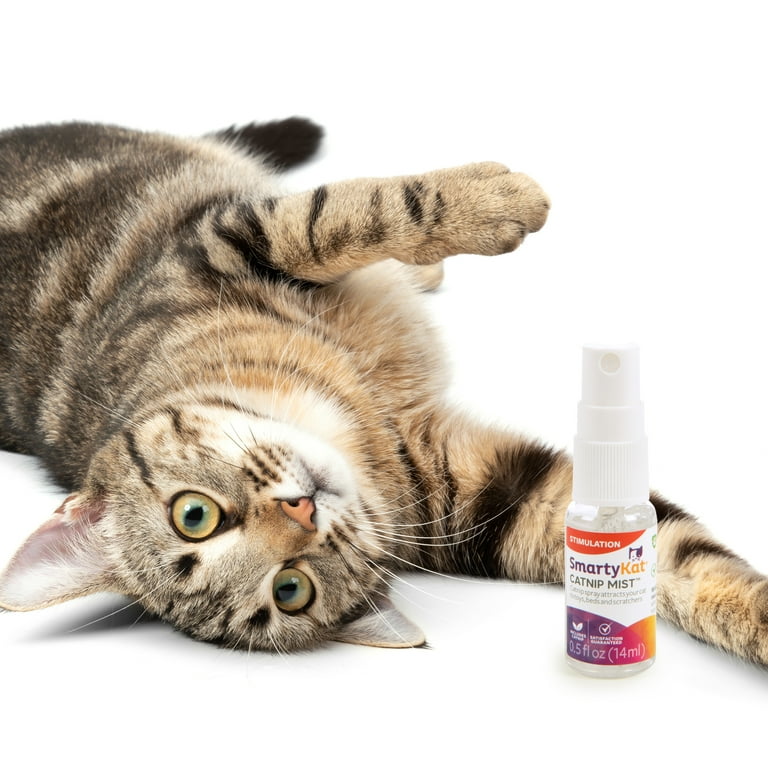 Liquid catnip spray hotsell