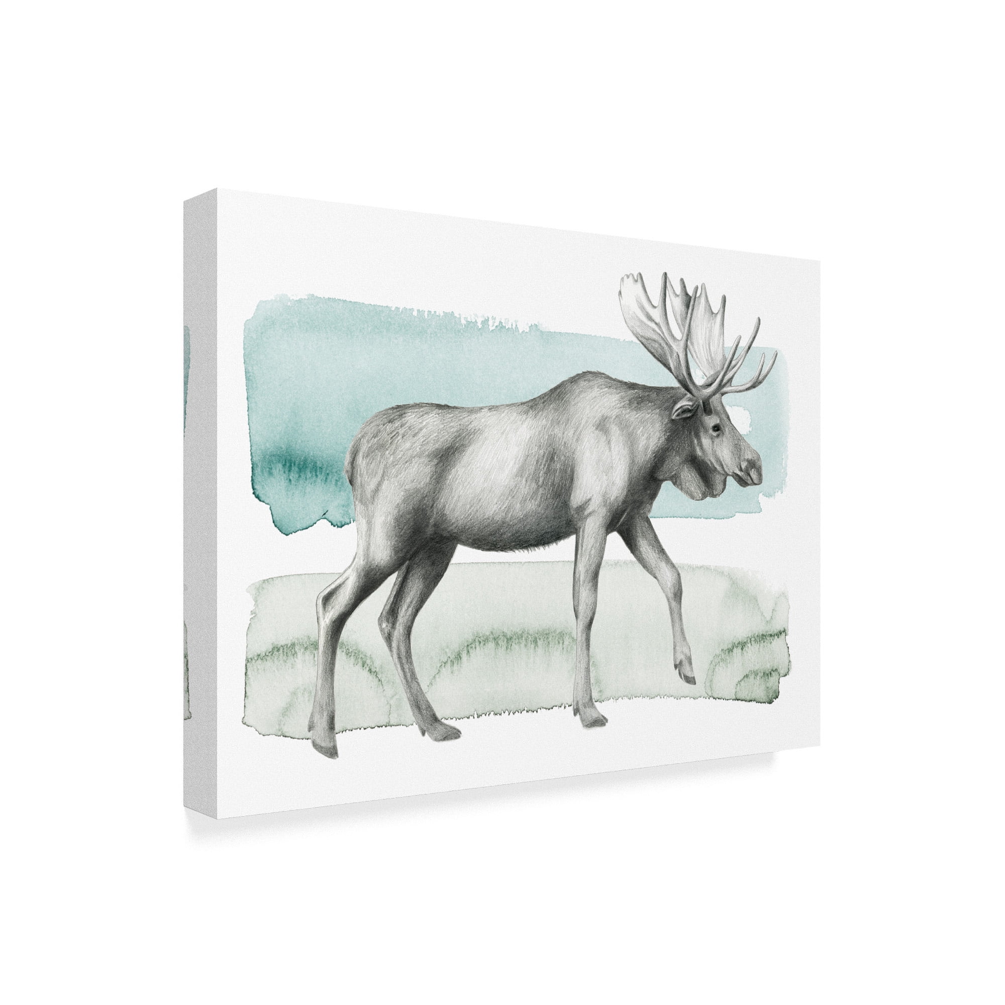 Trademark Fine Art 'Animal III' Canvas Art by Grace Popp