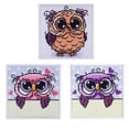 thumbnail image 2 of Kits De Pinturas De Diamantes 5D Para Adultos Yuarrent FN006794-03, 2 of 6