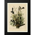 thumbnail image 2 of Audubon, John James 18x24 Black Modern Framed Museum Art Print Titled - Mocking Bird, 2 of 5