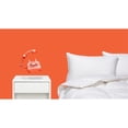 thumbnail image 3 of Canadian Down & Feather Company XL King 625 Loft Down/Cotton Duvet in White, 3 of 4