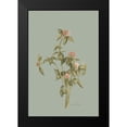 thumbnail image 2 of Murdock, Ramona 13x18 Black Modern Framed Museum Art Print Titled - Wild Clover, 2 of 5