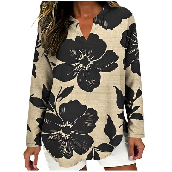 Women's Blouses V Neck Dressy Casual Long Sleeve Tops Business Work Raglan Shirts Fashion