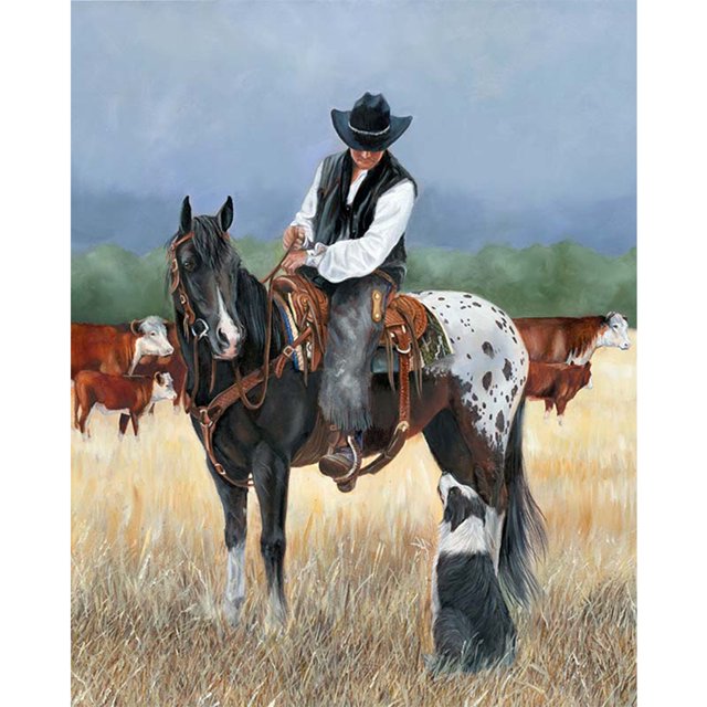 Kit de pintura por números DIY vaquero mano aceite arte imagen artesanía hogar pared decoración Hugtrwg Para estrenar