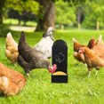 thumbnail image 4 of unbranded Colgante Para Gallinas Con Alimentador De Grava Y Concha Para Gallineros, 4 of 8