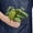 4_PHILODENDRON_VELVET_PP.TERRA.STD, variant on Philodendron Micans Velvet - Live Air-Purifying Indoor Plant in Nursery Pot – Easy Care, Low Maintenance Houseplant for Home & Office Decor, Natural Air Cleaner, Best for Beginners (4"Pot