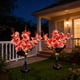 thumbnail image 4 of CaiYueKe Solar Powered LED String Lights Outdoor Garden Lights Waterproof Flower Lawn Lights for Patio Yard Pathway Walkway Landscape Decor Party Festival Decorations, 4 of 7