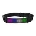 thumbnail image 1 of Collier pour Animal de Compagnie à Connexion BT avec Contrôle par Application, Collier pour Chien Rechargeable par USB la Nuit, 8 Modes d'Affichage, Contenu DIY, Animation Intégrée, Collier Lumineux, Collier à DEL Numérique, 1 of 8
