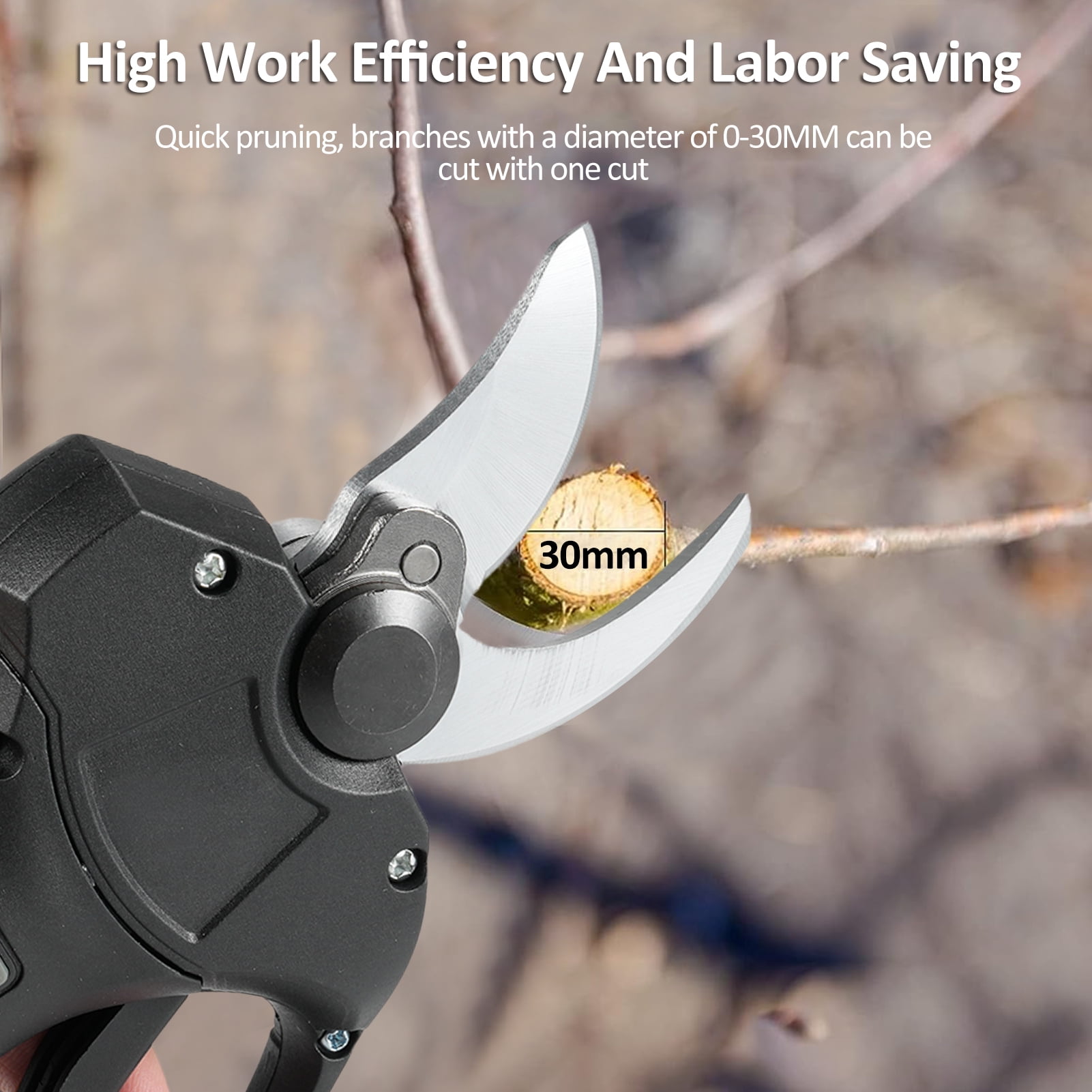 Anself 21V Portable Handheld Cordless Electric Pruning Shears with Carry Case, 2000mAh Rechargeable Battery, 30mm Cutting Diameter, Ideal for Garden