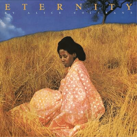 Alice Coltrane Eternity (Vinyl Record) 12 Album