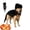 Black, variant on PetDinosaur Costume, Soft Plush T-Rex Skeleton Halloween Costume for Dogs | Cosplay Clothes for Medium & Large Dog