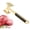 Gold, variant on Djiypn Multi Sided Meat Tenderizer for Pounding Meats, Nuts, Shellfish, ect, Meat Tenderizer Hammer with Comfortable-Grip Handle, Hang Hole for Easy Storage, Gold