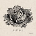 thumbnail image 2 of Studio Mousseau 20x20 White Modern Wood Framed Museum Art Print Titled - Burlap Vegetable BW Sketch Lettuce, 2 of 4