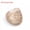 #35 FossiI Clam (1-2cm), variant on HOOUN 1x Mini Natural Teaching Specimen Teeth Brachiopod Spines Ammonites Plant-#45 Gastropod (3-5cm)-1PC (Random Pick)
