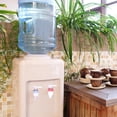 thumbnail image 2 of 4 Ensembles de Robinets de Refroidisseur d'Eau de Rechange Rouges et Bleus pour Distributeur d'Eau, 2 of 8