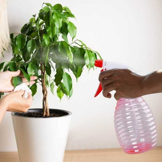 Fridja Bouteille Vaporisateur Manuelle en Plastique 500 ml Brumisateurs pour Plantes pour Jardinage Intérieur Extérieur