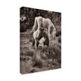 thumbnail image 2 of Trademark Fine Art 'Beach Horses II' Canvas Art by David Drost, 2 of 4