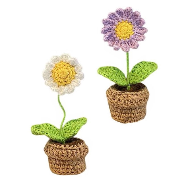 2 Piece Handmade DIY Beginner Crochet for Adults perfecl equipos de ganchillo