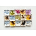 thumbnail image 3 of The Epoxy Resin Store Clearcast 7000 Jewelry Craft Resin Kit, 1 Gallon, 3 of 8